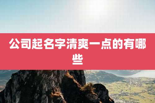 公司起名字清爽一点的有哪些