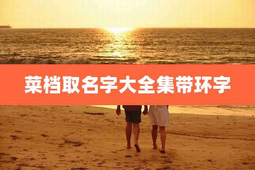 菜档取名字大全集带环字
