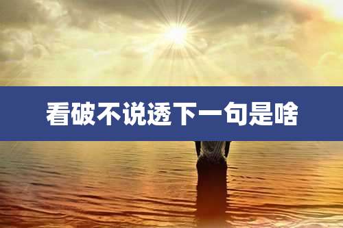 看破不说透下一句是啥