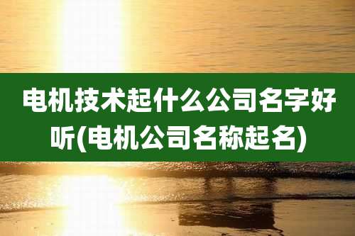 电机技术起什么公司名字好听(电机公司名称起名)