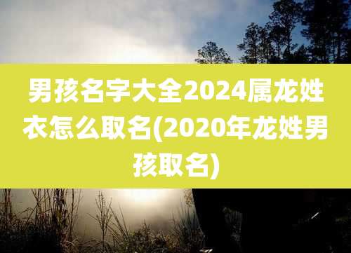 男孩名字大全2024属龙姓衣怎么取名(2020年龙姓男孩取名)