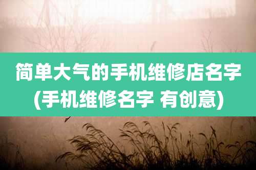 简单大气的手机维修店名字(手机维修名字 有创意)