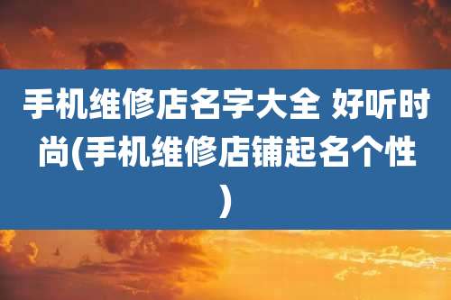 手机维修店名字大全 好听时尚(手机维修店铺起名个性)