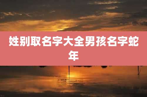 姓别取名字大全男孩名字蛇年
