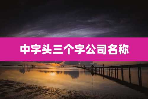 中字头三个字公司名称
