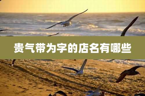 贵气带为字的店名有哪些