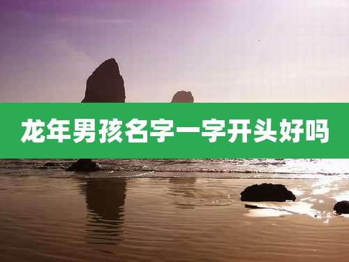 龙年男孩名字一字开头好吗