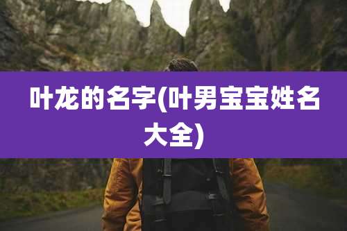 叶龙的名字(叶男宝宝姓名大全)