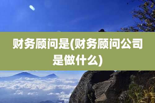 财务顾问是(财务顾问公司是做什么)