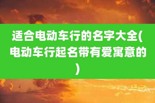 适合电动车行的名字大全(电动车行起名带有爱寓意的)