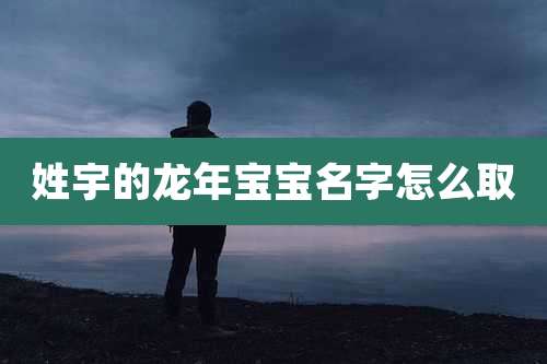 姓宇的龙年宝宝名字怎么取