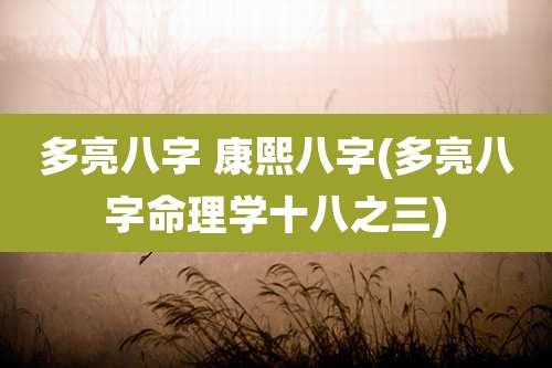 多亮八字 康熙八字(多亮八字命理学十八之三)
