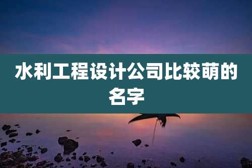 水利工程设计公司比较萌的名字