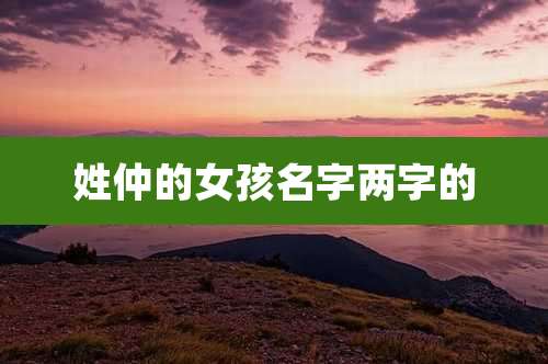 姓仲的女孩名字两字的