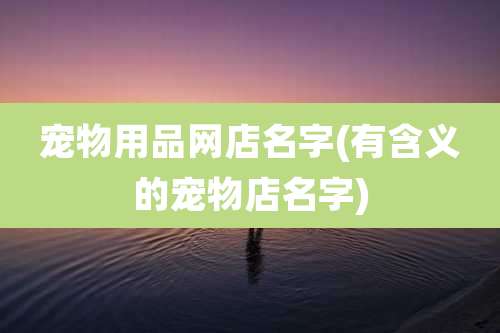 宠物用品网店名字(有含义的宠物店名字)