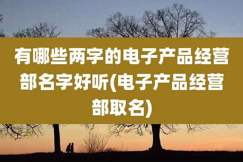有哪些两字的电子产品经营部名字好听(电子产品经营部取名)