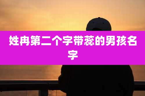 姓冉第二个字带蕊的男孩名字