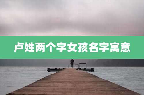 卢姓两个字女孩名字寓意