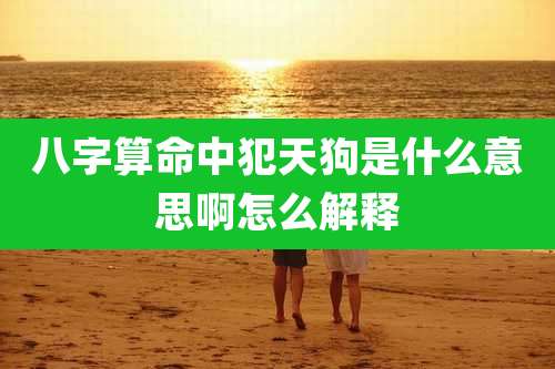 八字算命中犯天狗是什么意思啊怎么解释