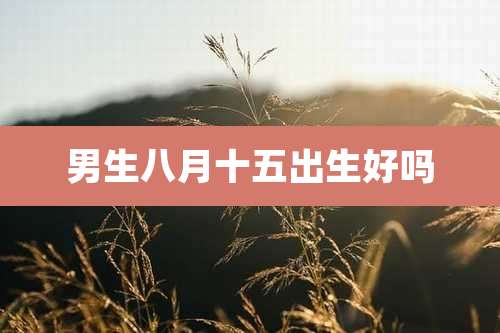 男生八月十五出生好吗