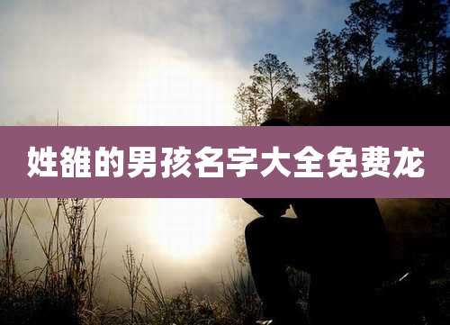 姓雒的男孩名字大全免费龙