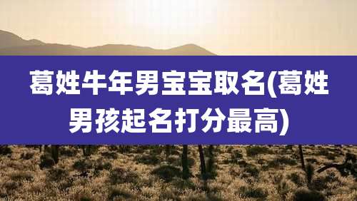 葛姓牛年男宝宝取名(葛姓男孩起名打分最高)
