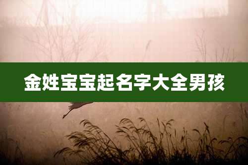 金姓宝宝起名字大全男孩