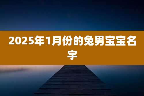 2025年1月份的兔男宝宝名字