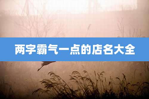 两字霸气一点的店名大全