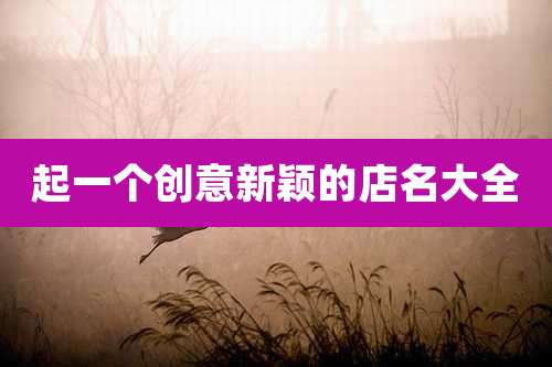 起一个创意新颖的店名大全