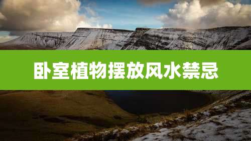 卧室植物摆放风水禁忌