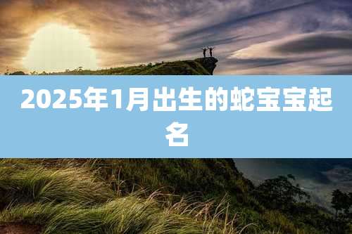 2025年1月出生的蛇宝宝起名