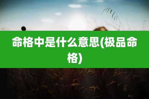 命格中是什么意思(极品命格)