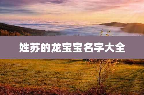 姓苏的龙宝宝名字大全