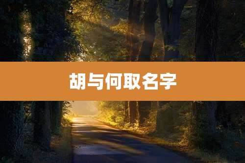 胡与何取名字