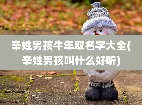 辛姓男孩牛年取名字大全(辛姓男孩叫什么好听)