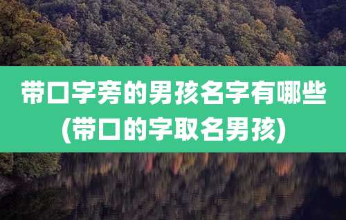 带口字旁的男孩名字有哪些(带口的字取名男孩)