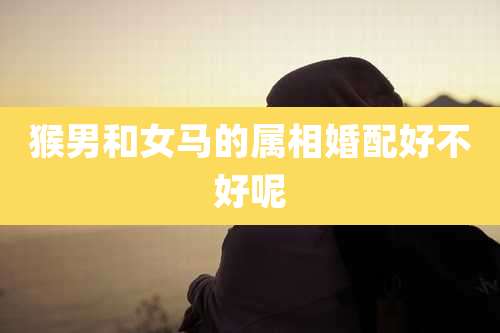 猴男和女马的属相婚配好不好呢