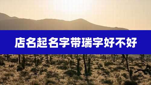 店名起名字带瑞字好不好