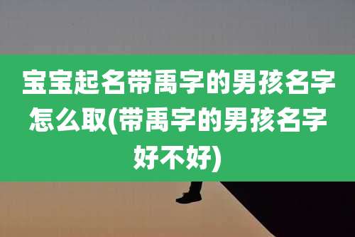 宝宝起名带禹字的男孩名字怎么取(带禹字的男孩名字好不好)