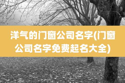 洋气的门窗公司名字(门窗公司名字免费起名大全)