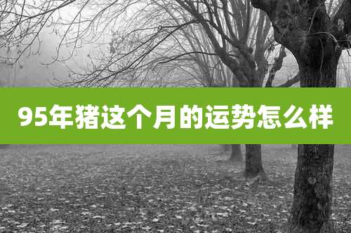 95年猪这个月的运势怎么样