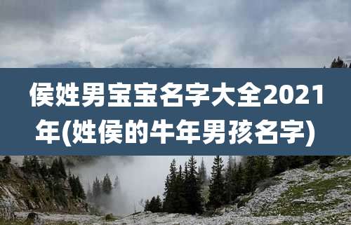 侯姓男宝宝名字大全2021年(姓侯的牛年男孩名字)