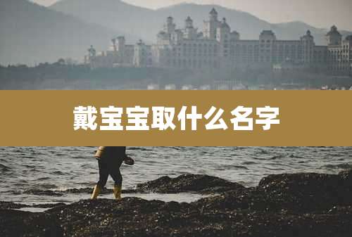 戴宝宝取什么名字