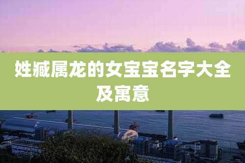 姓臧属龙的女宝宝名字大全及寓意