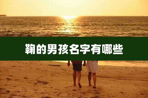鞠的男孩名字有哪些