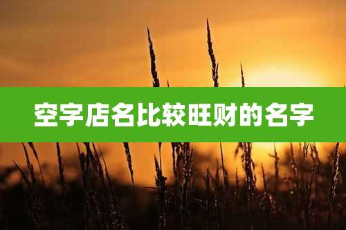 空字店名比较旺财的名字