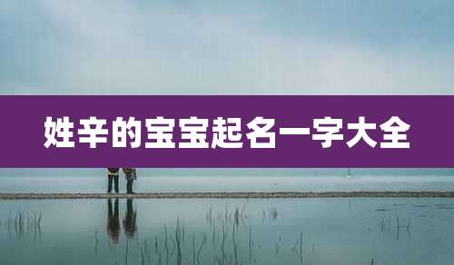 姓辛的宝宝起名一字大全