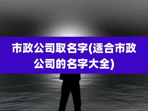 市政公司取名字(适合市政公司的名字大全)