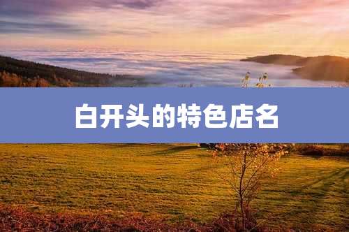 白开头的特色店名